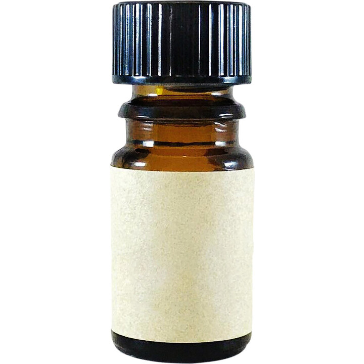 Cocos Nucifera - Dive